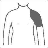 肩から肘の上まで